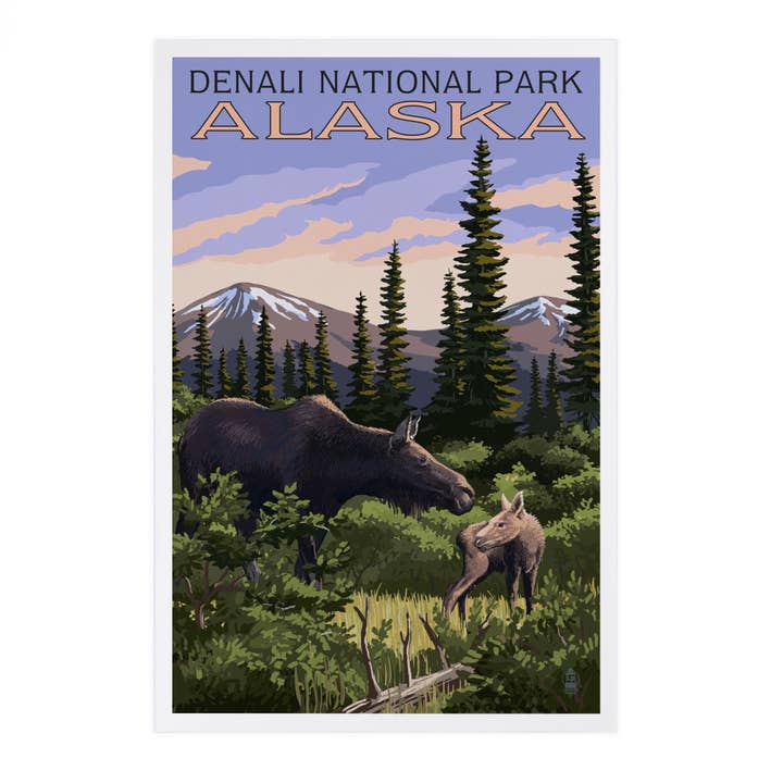 Lantern Press - Wholesale Postcard - PREMIUM POSTCARDS Denali National Park, Alaska Moose & Calf