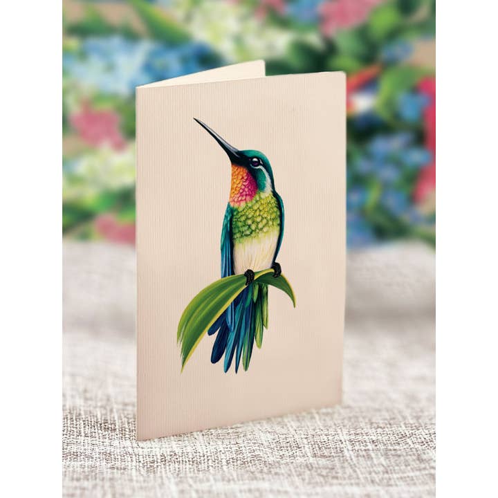 FreshCut Paper LLC - Wholesale Everyday Greeting Card - Hummingbird Oasis (8 Pop-up Greeting Cards)