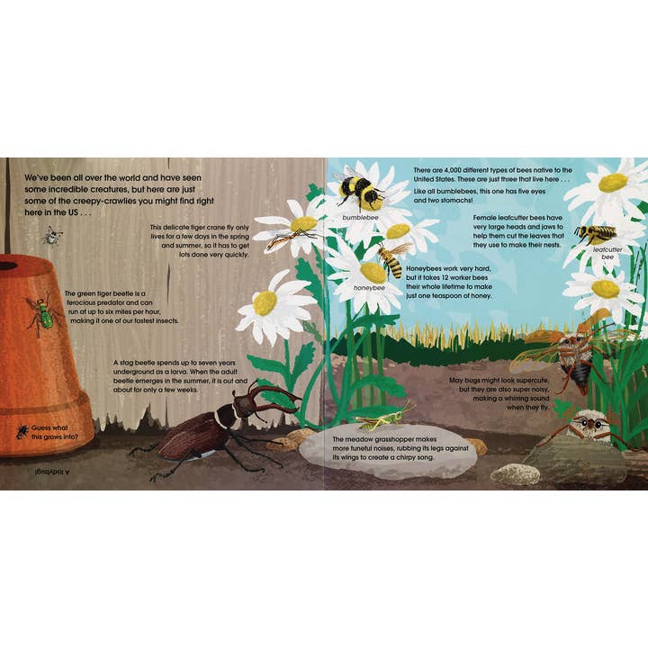 EDC Publishing - Wholesale Preschool Book (3-5) - Lifesize Creepy-Crawlies (Mini Book)1