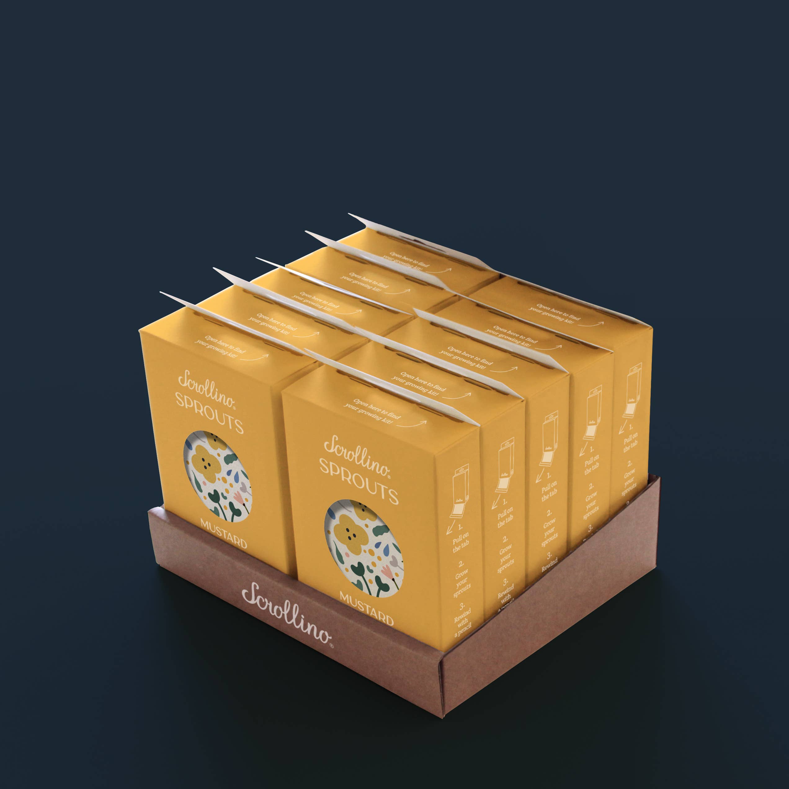 Scrollino - Wholesale DIY Craft Kit - Kids - Original Activity & Growing Kit - Scrollino Mustard Sprouts4