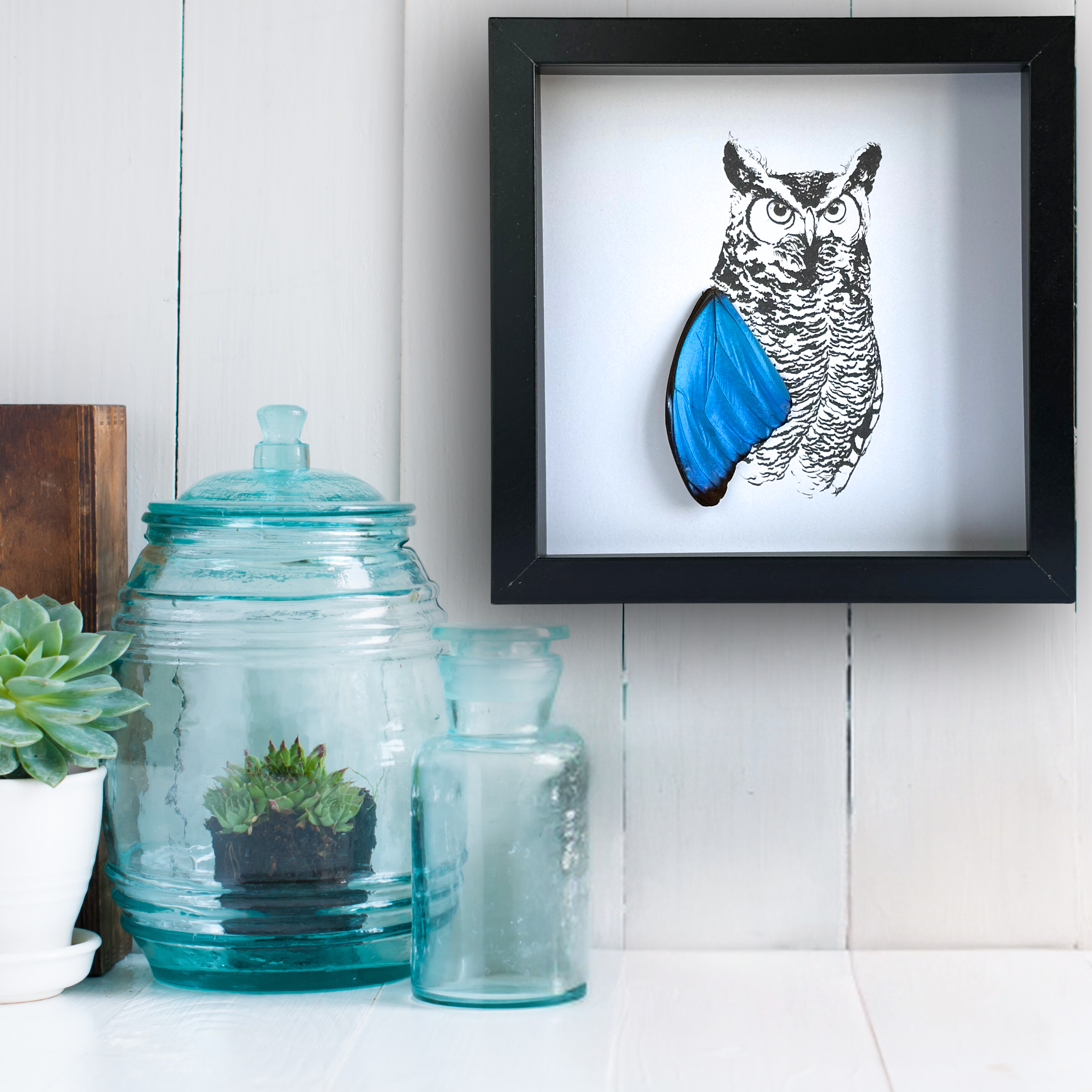 Isms - Wholesale Wall Accent - Realistic Horned Owl Framed Art with Real Butterfly Wings4