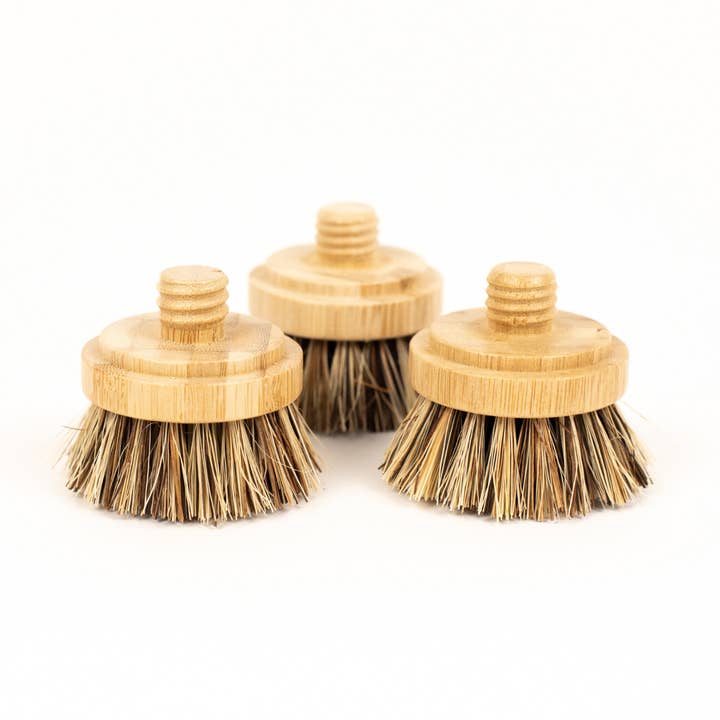 Recharge pour tête d'épurateur en bambou pour la vente par Simone & Ivy