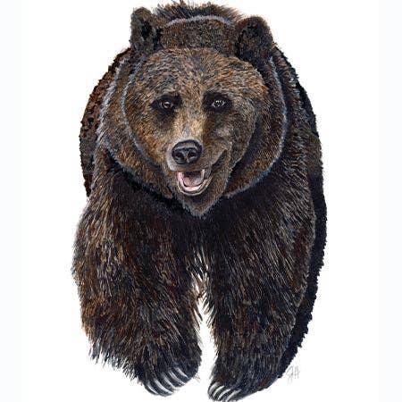 DOLLY ESTELLE - Wholesale Cutting Board - Charcuterie  Cutting Boards - Mix & Match13