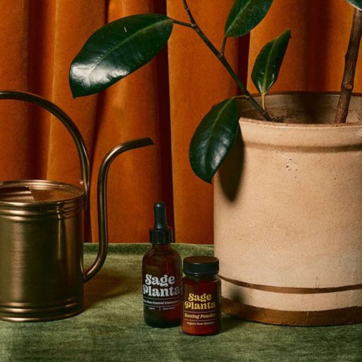 Sage Planta - Wholesale Planting/potting soil - Organic Plant Rooting Powder1