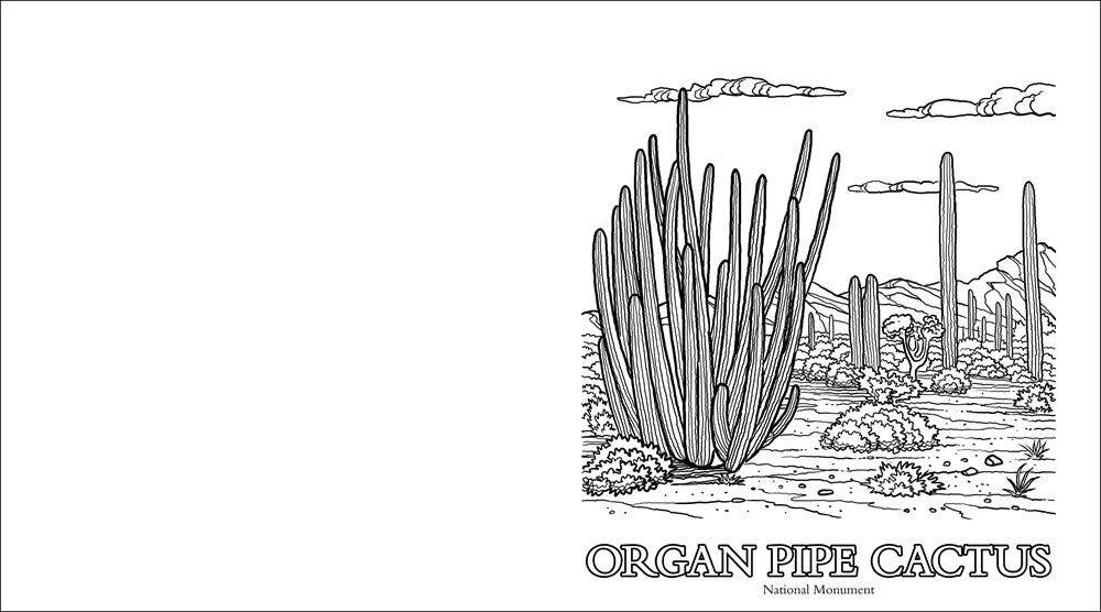 AdventureKEEN - Wholesale Coloring & Activity Book - Adult - Parks Of The Southwest Adult Coloring Book2