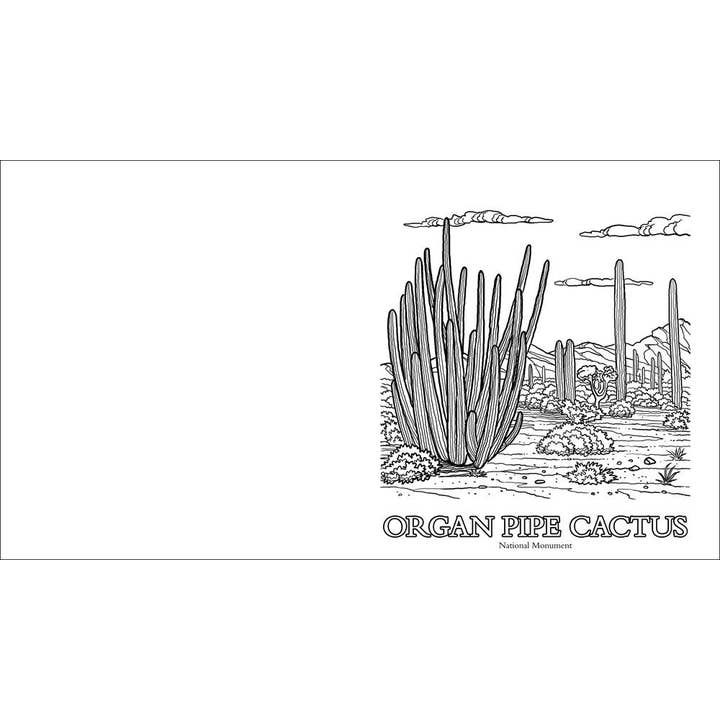 AdventureKEEN - Wholesale Coloring & Activity Book - Adult - Parks Of The Southwest Adult Coloring Book2