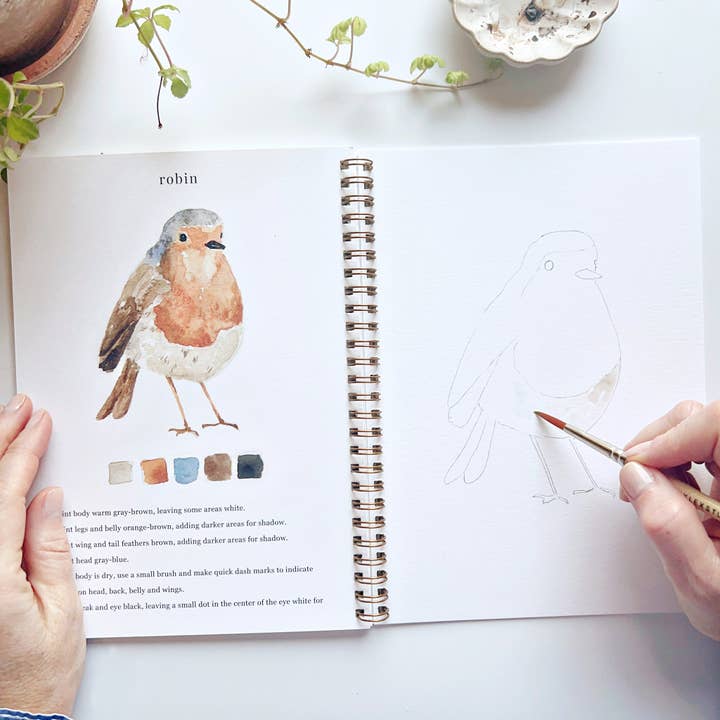 emily lex studio - Wholesale Sketchbook/Sketchpad - birds watercolor workbook