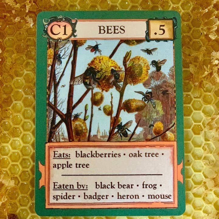 Montrose Biology - Wholesale Card Game - Ecologies Card Game3