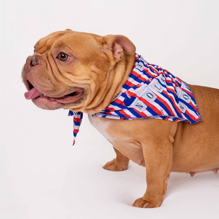 Pearls & Pelicans - Wholesale Pet Bandana - Dog - Red, White, and Sno-Balls Pet Bandana1