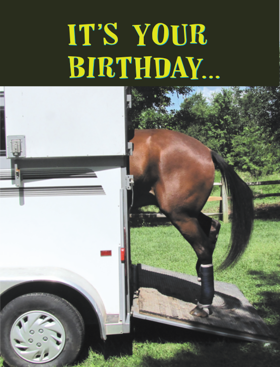 Horse Hollow Press - Wholesale Birthday Card - Horse Greeting Birthday Card / Get Loaded! / Funny6