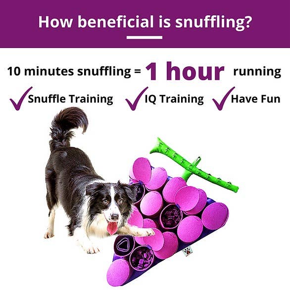 PawzNDogz - Wholesale Pet Food Mat - Dog - Forbidden Grapes ™ Snuffle Mat | Challenge Level 42
