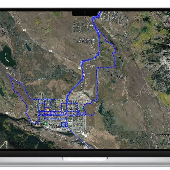 Naomi's Happy Place Shop - Wholesale Pet Harness - Dog - Pet Realtime Surveillance w/ Pet Tracker GPS Tracking Chip for Dogs + App Size:M3