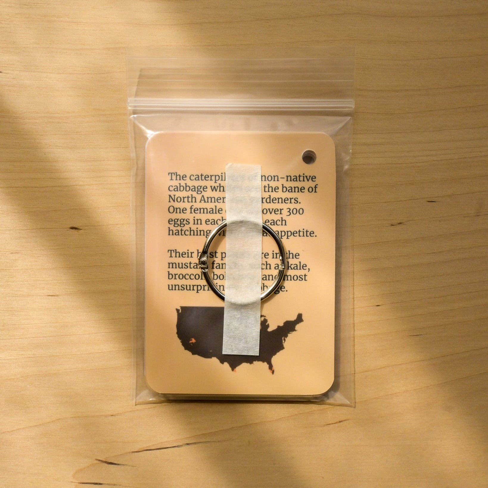 weneedtogooutside - Wholesale Nature & Outdoors Book - Butterflies of Eastern USA Field Guide Cards3