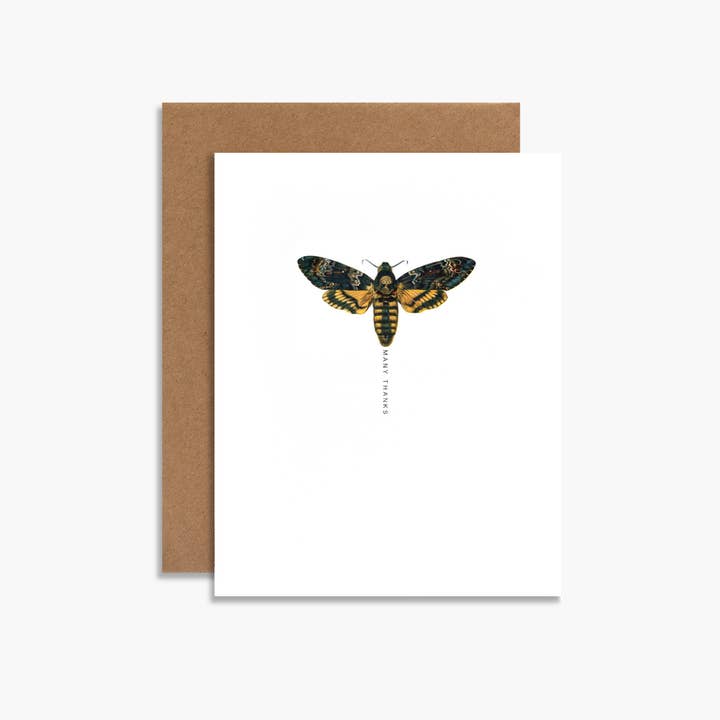 Hartelijk dank Moth Botanical Thank You Card Insect Image voor wholesale door Souvenir Stationery