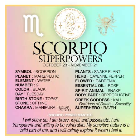 warm human – wholesale Meditationsprodukter – SKORPION SUPERMAKTER1