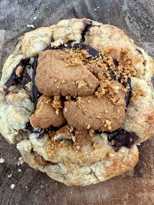 biscoff chocolate chip for wholesale by big fat cookie, llc