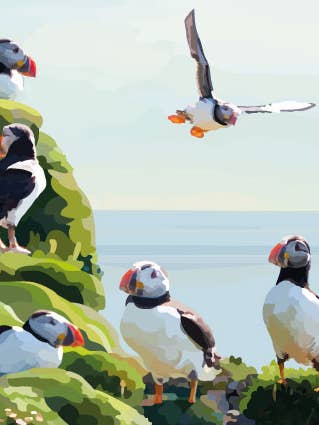 293C Puffin Friends/Periodic Society/Tarjeta de felici para venta al por mayor de Periodic Society