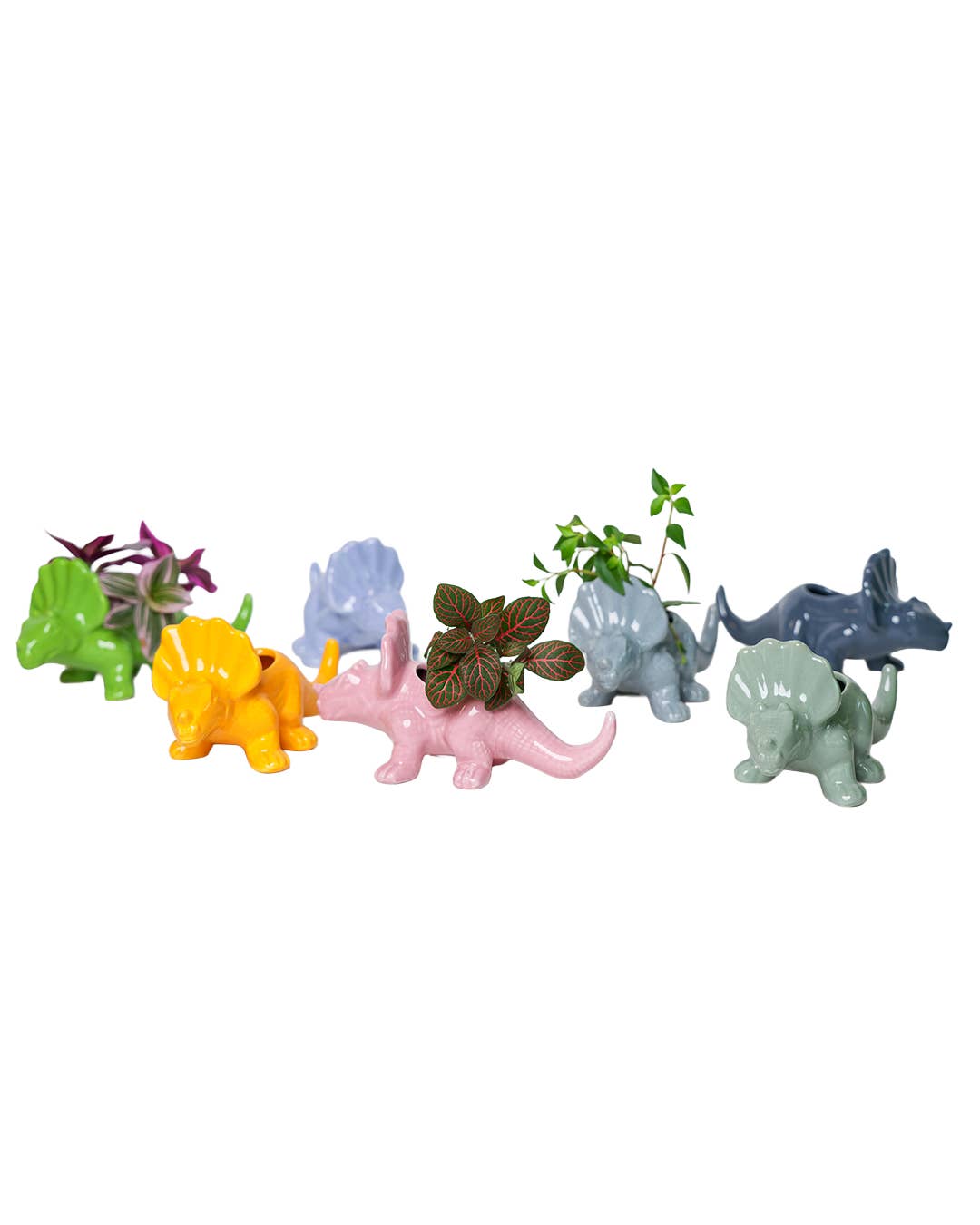 pc Assortment  Dinosaur Ceramic Indoor Plant Pot Kits for wholesale on Faire