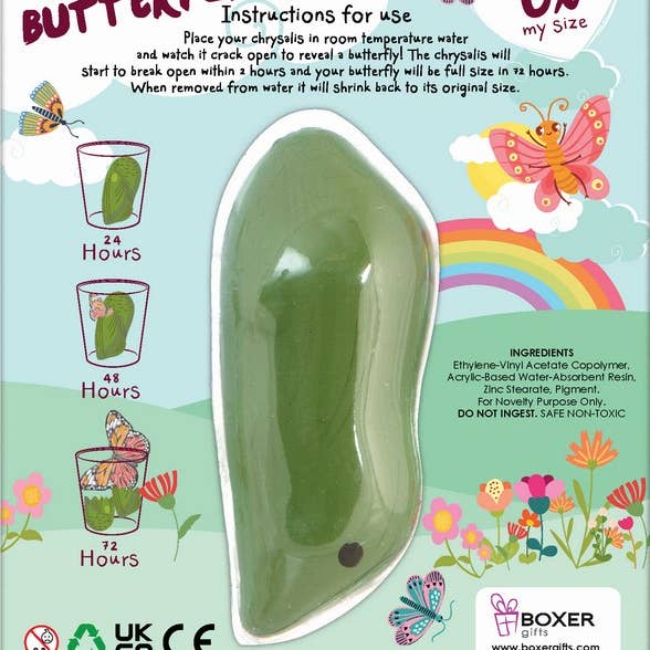 Boxer Gifts EU - Wholesale Toy Set - Kids - Hatch a Butterfly Toy - Childrens Stocking Fillers1