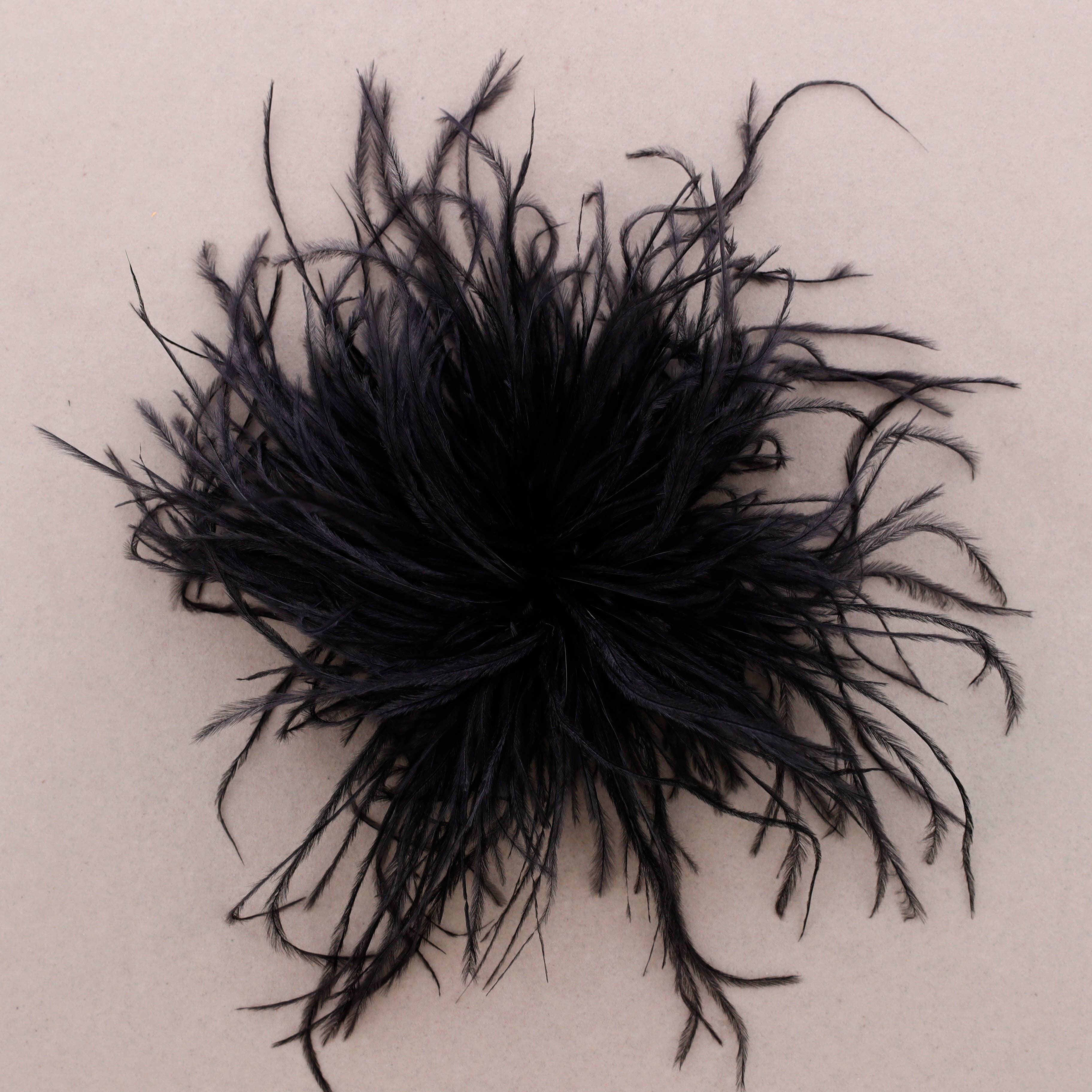 Sonata – wholesale Snap jewellery – Feather Brooch 10-15cm (B)2