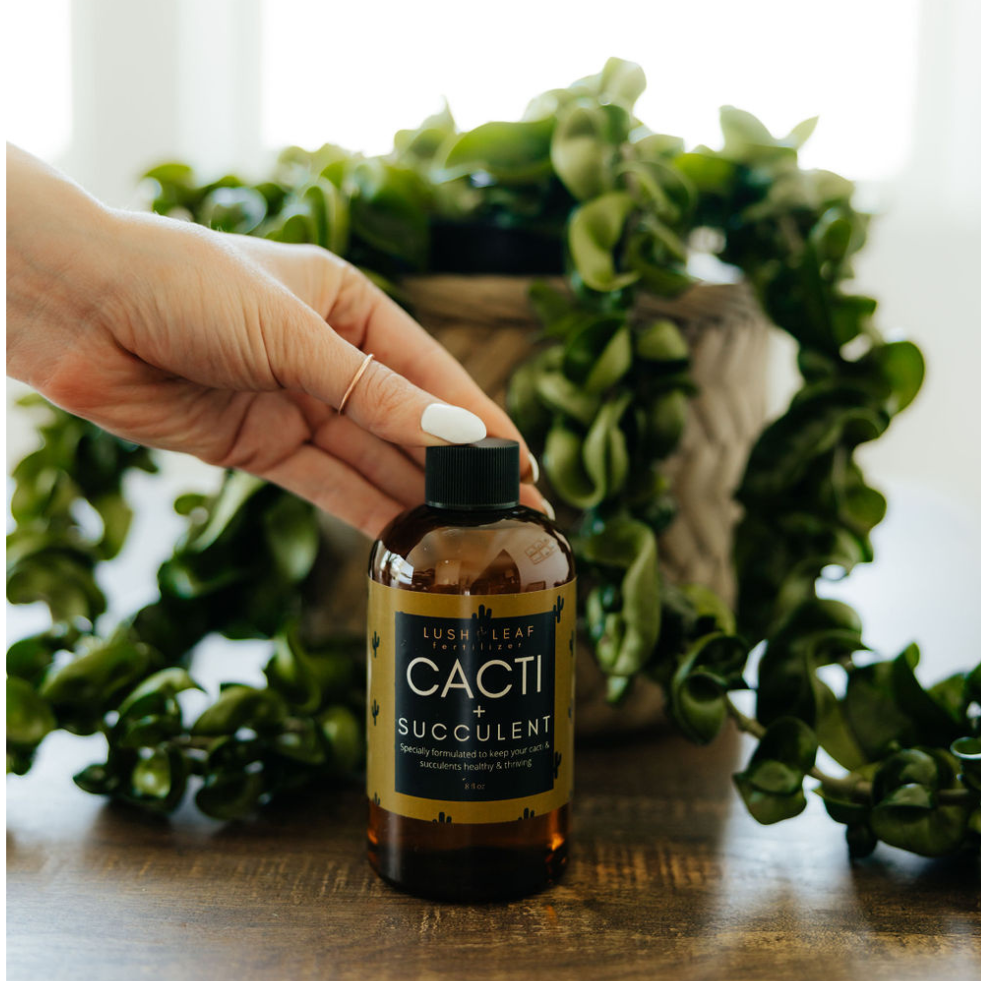 Lush Leaf - Wholesale Fertilizer - Cacti & Succulent Plant Food6