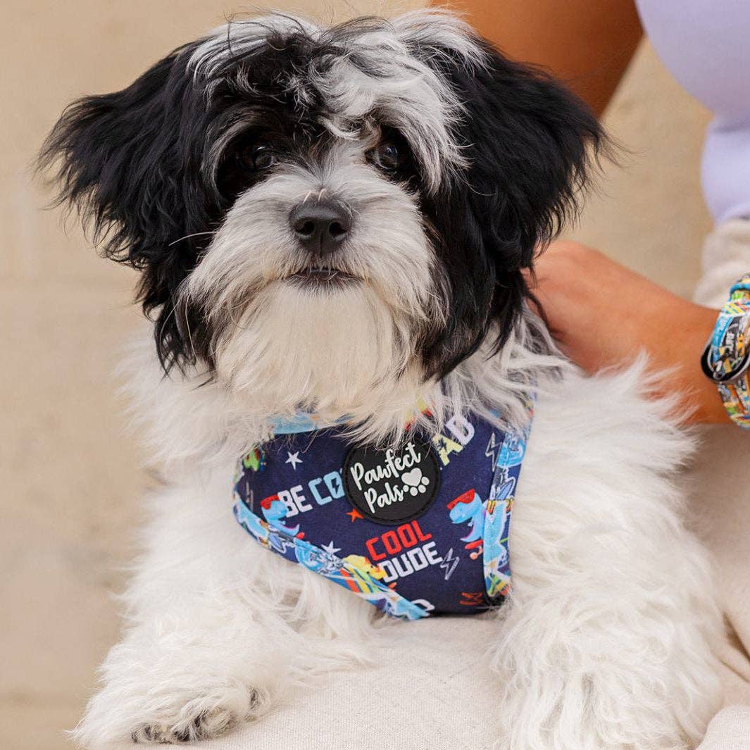 Pawfect Pals – Engroshandel Kæledyrssele – Hund – Little Dude - Vendbar hundesele2