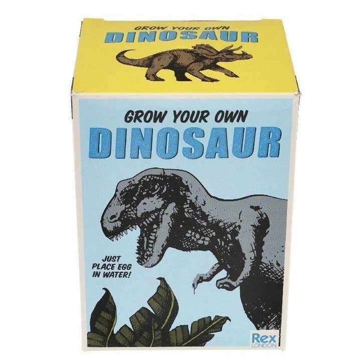 Rex London UK - Wholesale Classic Toy - Kids - Giant Hatching Dinosaur Egg - Prehistoric Land