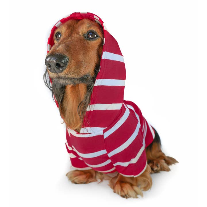 DJANGO - Wholesale Pet Hoodie - Dog - Dog Hoodie - Red0