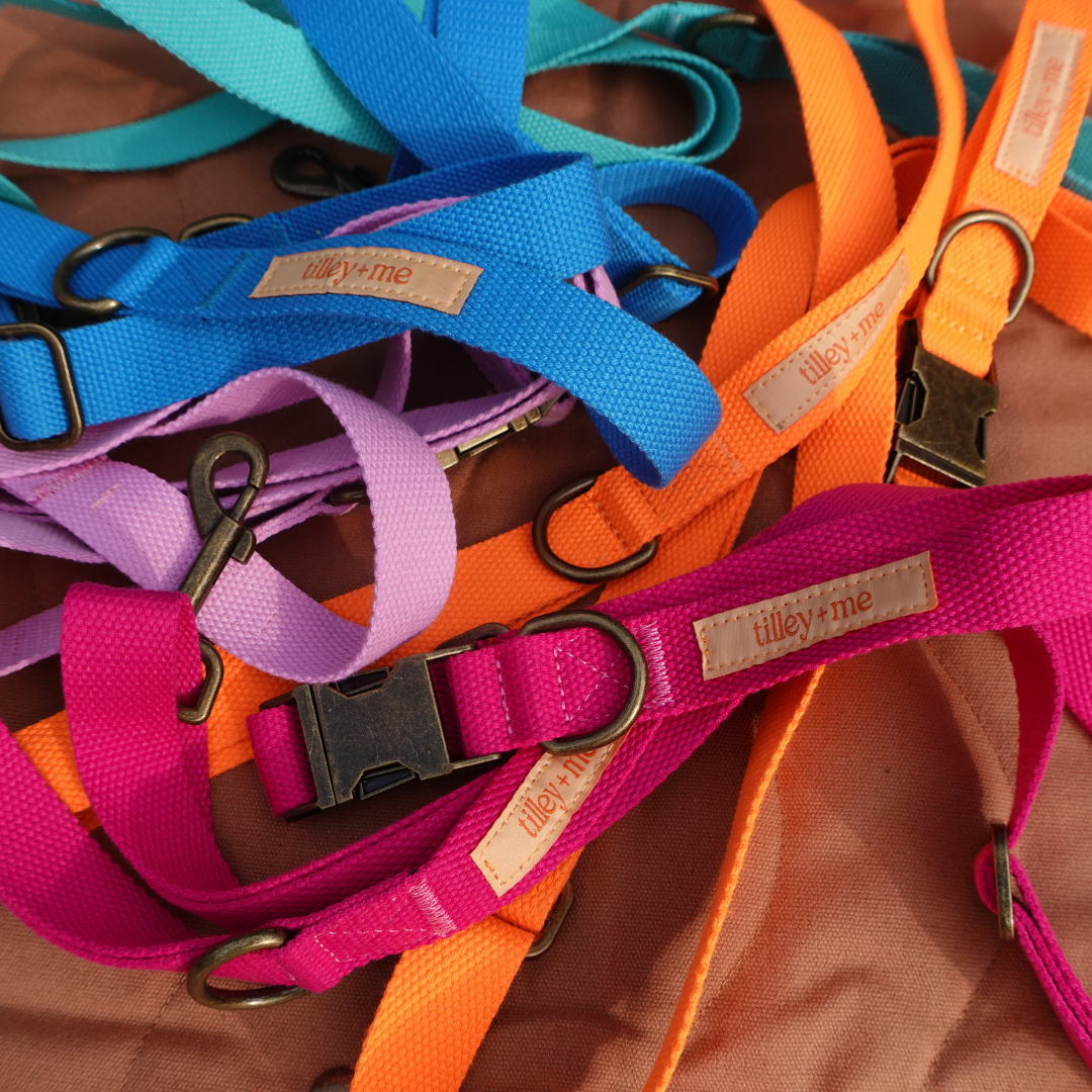 Tilley + Me - Wholesale Pet Leash - Dog - Hemp Cotton Dog Leash - Adjustable & Lightweight21