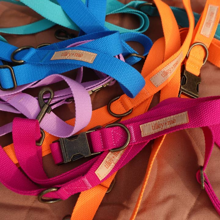 Tilley + Me - Wholesale Pet Leash - Dog - Hemp Cotton Dog Leash - Adjustable & Lightweight21