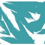 DW9 PAREO 2 por atacado de DANWARD