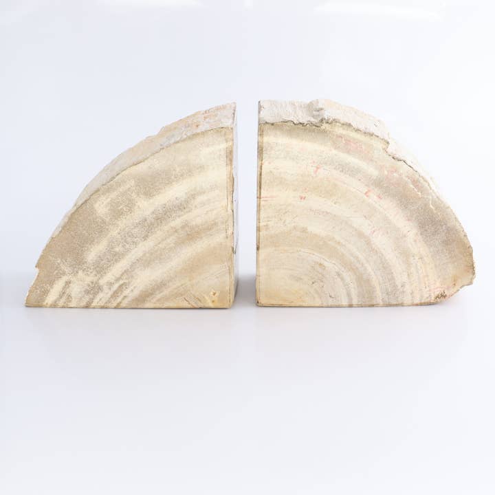 Serre-livres en bois pétrifié pour la vente par Mi Esperanza Minerals