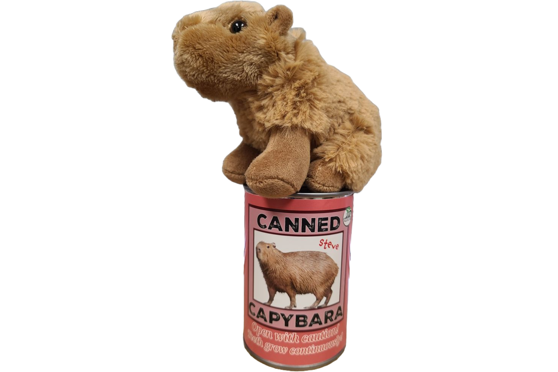 Canned Gifts - Wholesale Stuffed/Plush Toy - Kids & Baby - Steve the Canned Capybara | Stuffed Animal Plush w/Jokes6