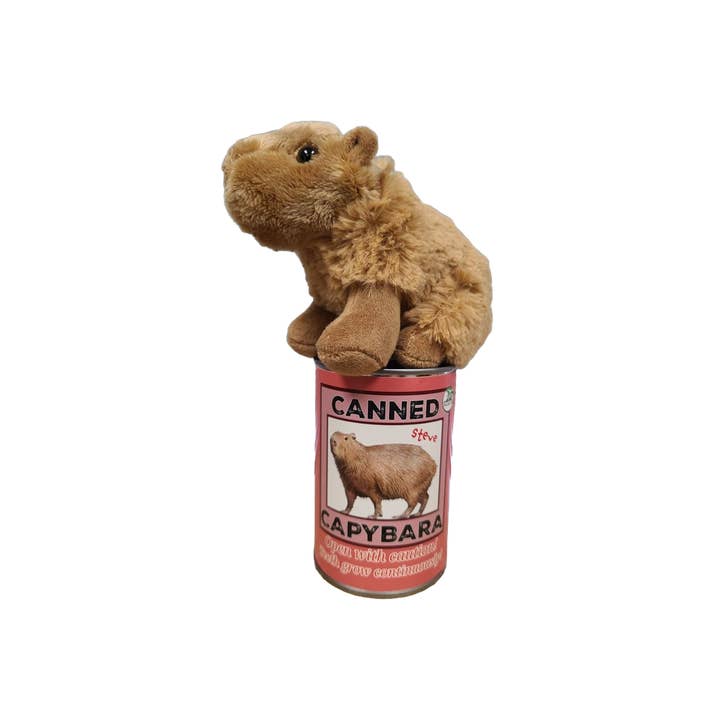 Canned Gifts - Wholesale Stuffed/Plush Toy - Kids & Baby - Steve the Canned Capybara | Stuffed Animal Plush w/Jokes6