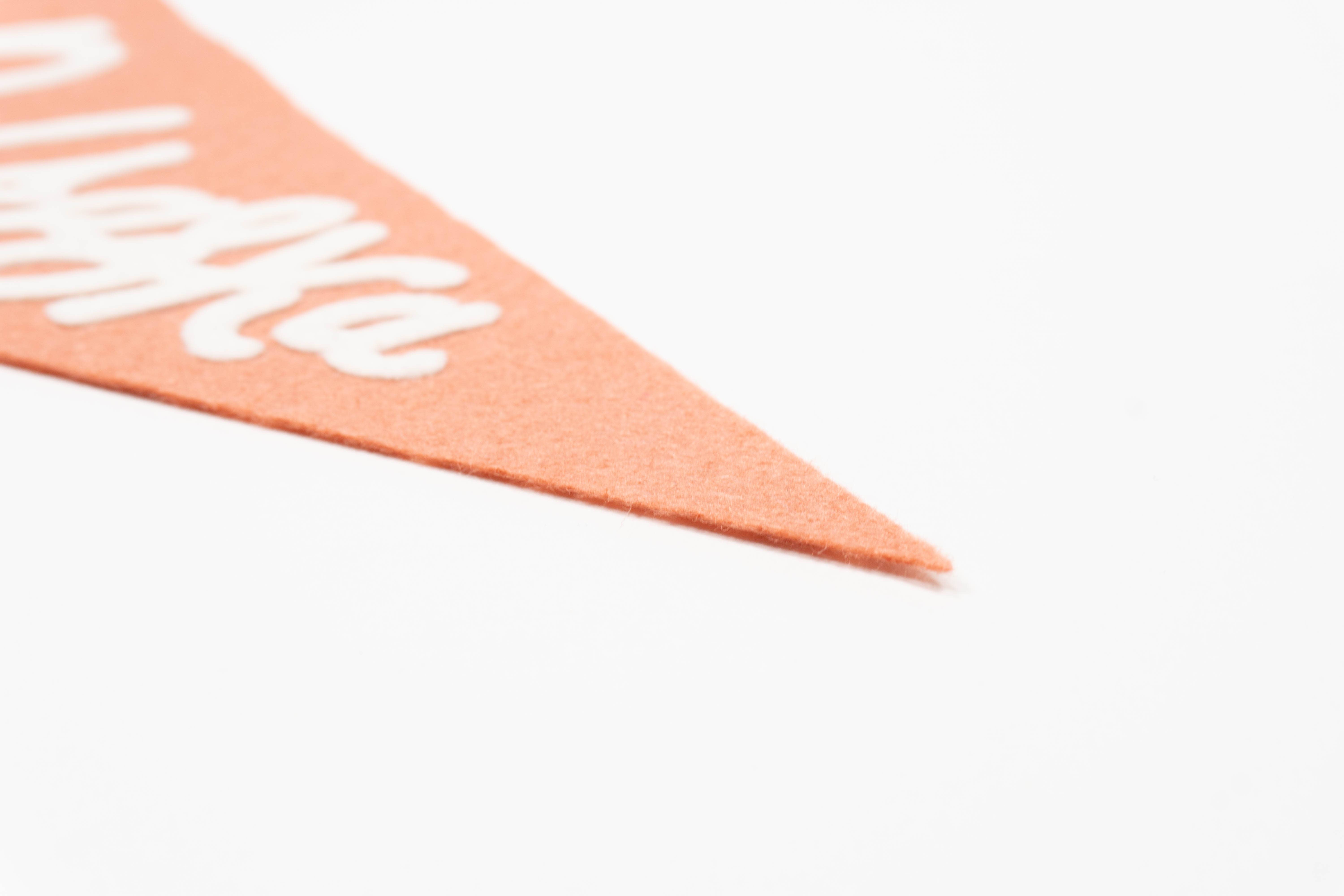 traveldashery - Wholesale Banner - nebraska pennant28