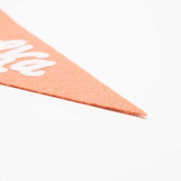 traveldashery - Wholesale Banner - nebraska pennant28