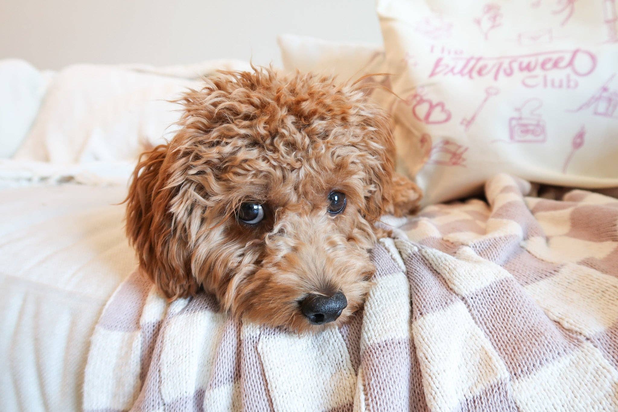 Bittersweet - Wholesale Tote Bag - Women's - The Bittersweet Club Tote Bag2