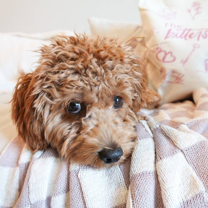 Bittersweet - Wholesale Tote Bag - Women's - The Bittersweet Club Tote Bag2