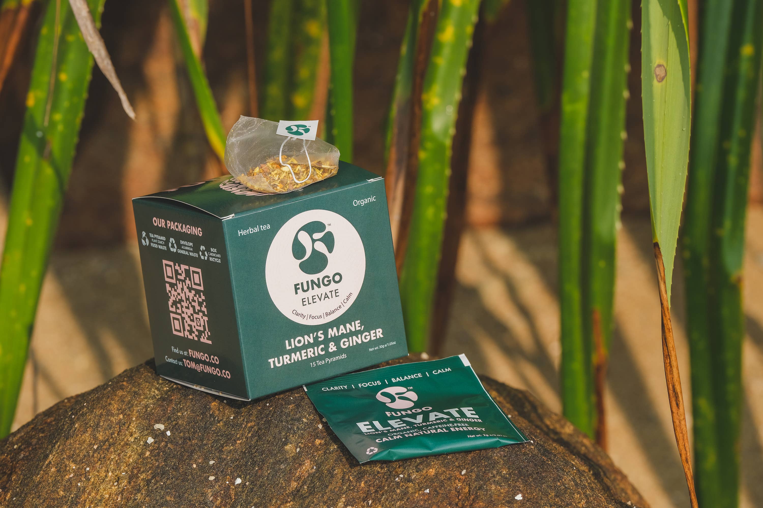 Fungo - Vente Thés santé/détox - Élévation Infusion Fonctionnelle aux Herbes, Thé au Champignon Crinière de Lion1