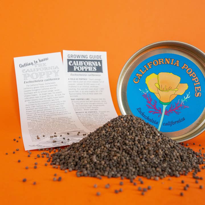 The Jonsteen Company - Wholesale Plant Seeds - California Poppy | Seed Grow Kit