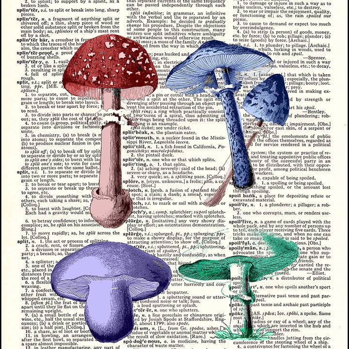 Colorful Mushrooms Dictionary Print for wholesale by Fresh Prints of CT