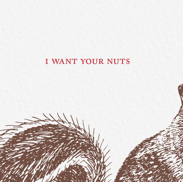Ampersand M Studio – wholesale Love card – I Want Your Nuts Squirrel Sexy Valentine's Day Greeting Card2