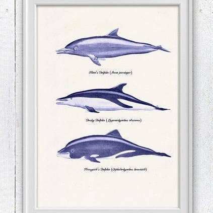 Póster decorativo para pared Ballenas y delfines para venta al por mayor de PRRINT!