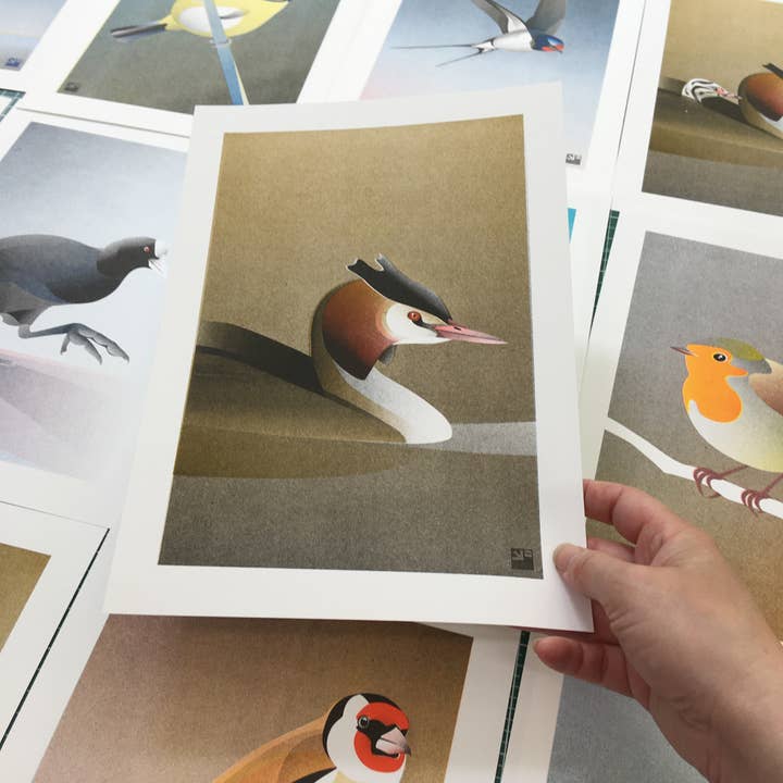 VrijFormaat - Wholesale Art Print - riso print - Grebe - Bird art print - A41