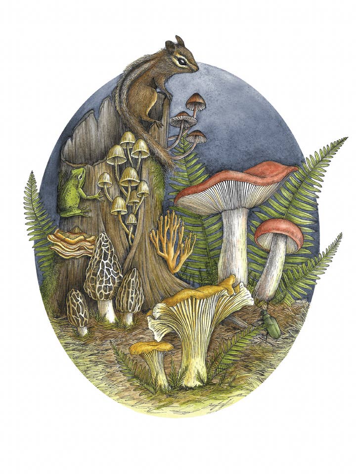 Watercolor Art Print of Mushrooms, Ferns, and, Chipmunk for wholesale by Kyla Rae Design