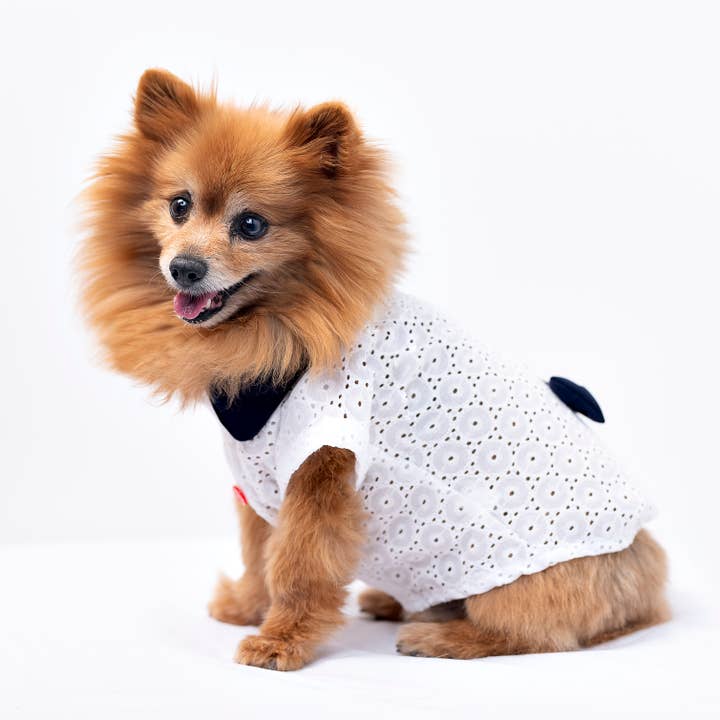 GentleDog - Wholesale Pet Shirt - Dog - Amy T-Shirt1