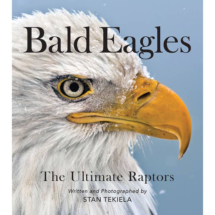 AdventureKEEN - Wholesale Nature & Outdoors - Bald Eagles: The Ulitmate Raptors