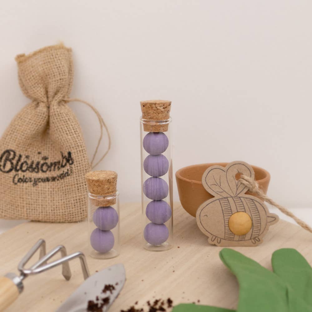 Blossombs - Wholesale Plant Seeds - Gift Box Small “Flowers” – Low-Growing Mix (7 Seed Bombs)1