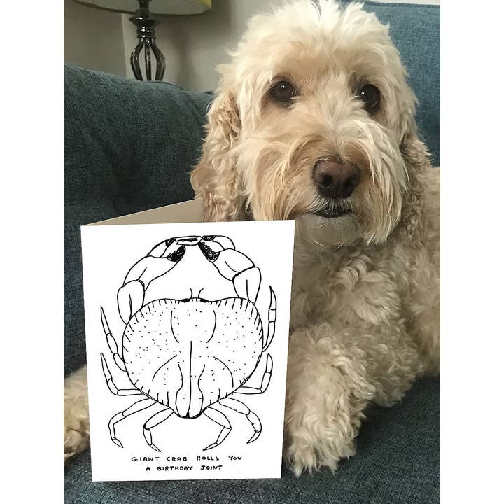 David Shrigley x Brainbox Candy – Großhandel Geburtstagskarten – Lustige Geburtstagskarte - Riesige Krabben Grußkarte5