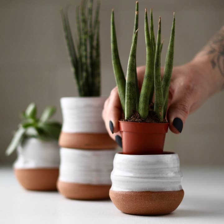 Gravesco Pottery - Wholesale Plant pot - Assorted Small Planter Pots | White 2 inch handmade